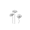 Cosmos (October)
