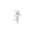 Viooltje (Februari)