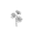 Madeliefje (April)